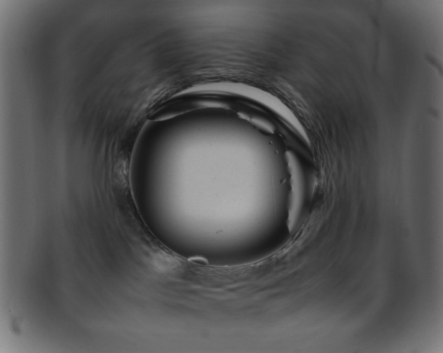 X0000095690045200801081258