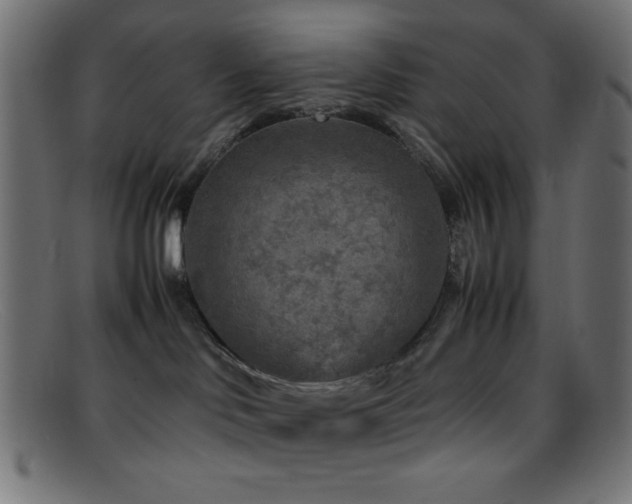 X0000095690046200801081258