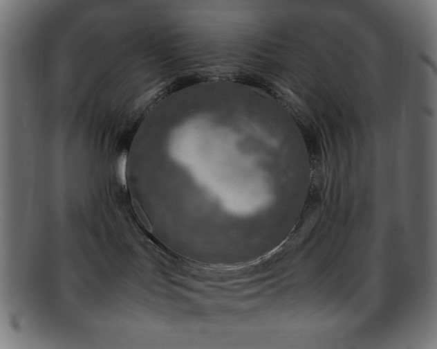 X0000095690047200801081258