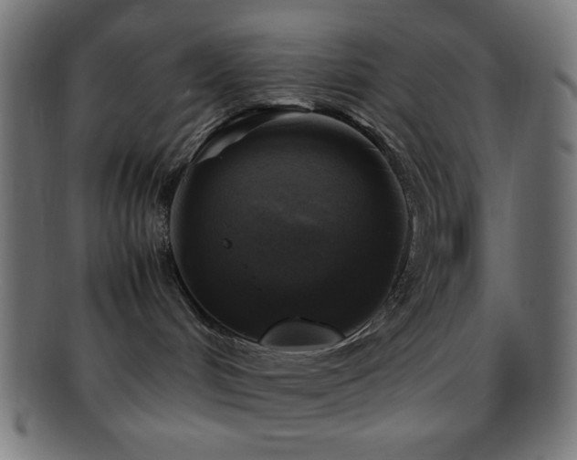 X0000095690048200801081258