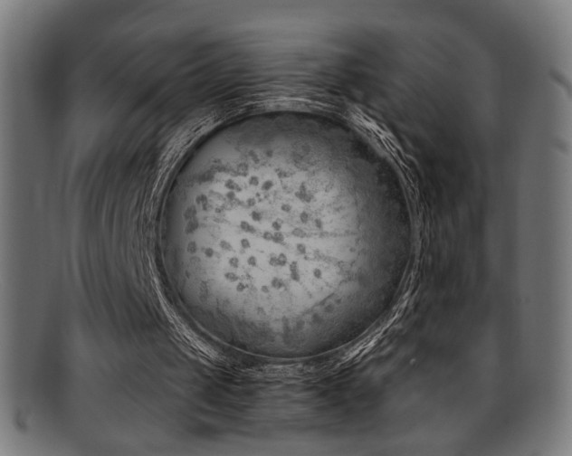 X0000095690049200801081257