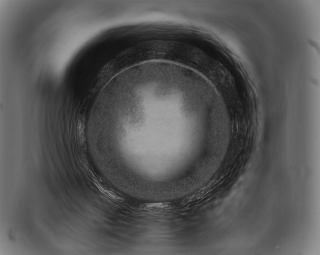 X0000095690050200801081257