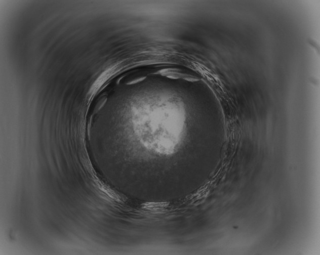 X0000095690051200801081257