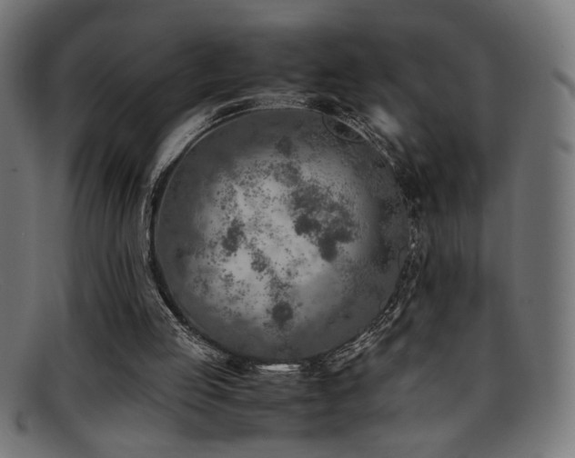 X0000095690053200801081257