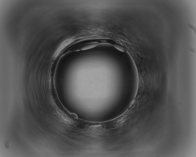X0000095690054200801081257