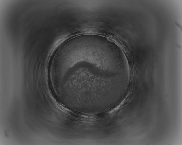 X0000095690055200801081257