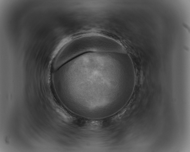X0000095690056200801081257