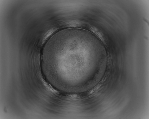 X0000095690058200801081257
