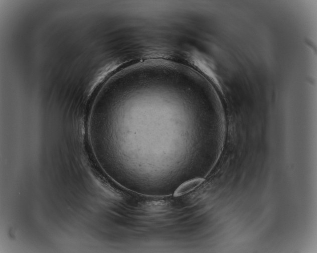 X0000095690059200801081257