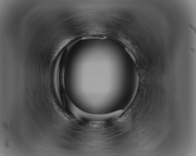 X0000095690060200801081257