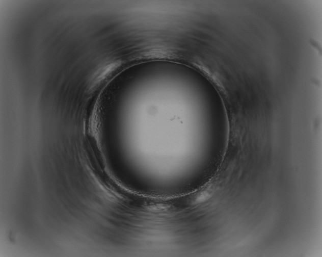 X0000095690062200801081257