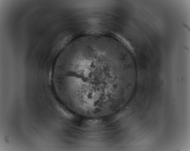 X0000095690065200801081257