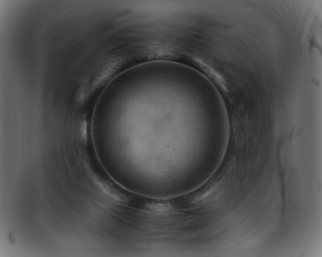 X0000095690067200801081257