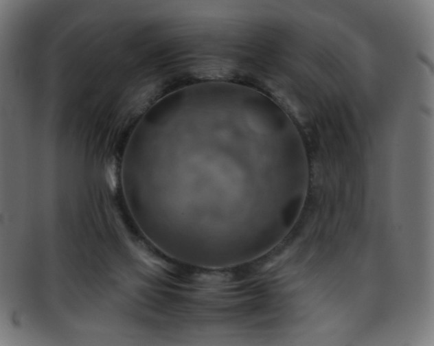 X0000095690069200801081257