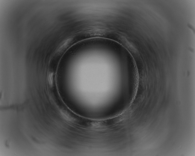 X0000095690070200801081257