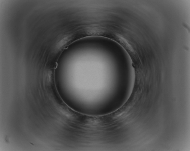 X0000095690071200801081257