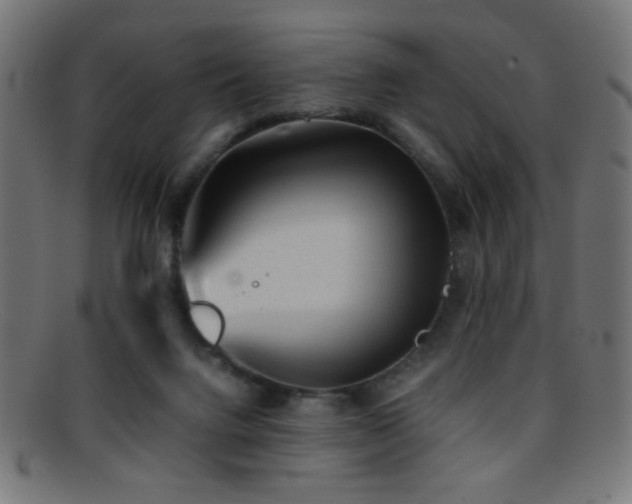 X0000095690072200801081257
