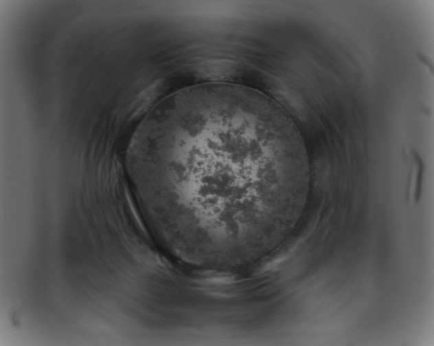 X0000095690073200801081257