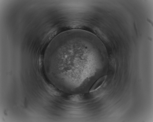 X0000095690074200801081257