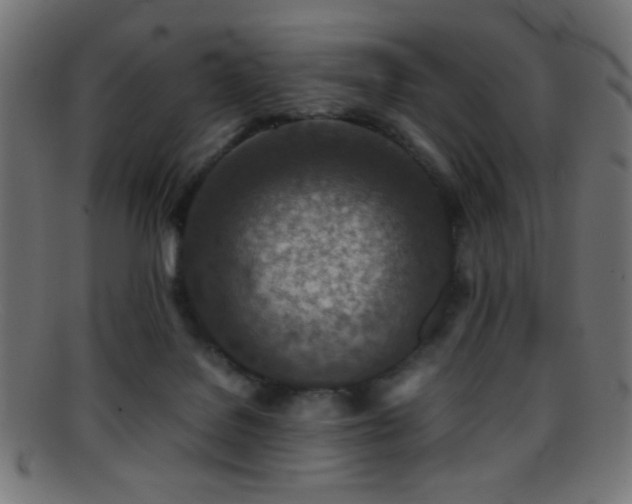 X0000095690076200801081257