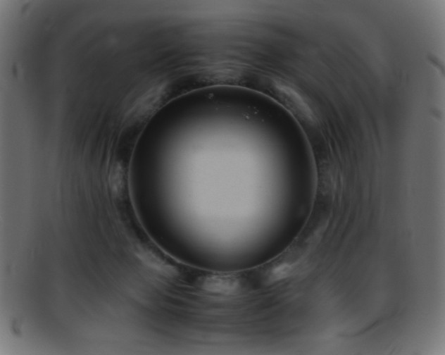 X0000095690077200801081257
