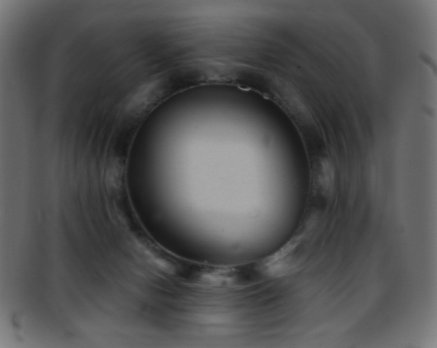 X0000095690078200801081257