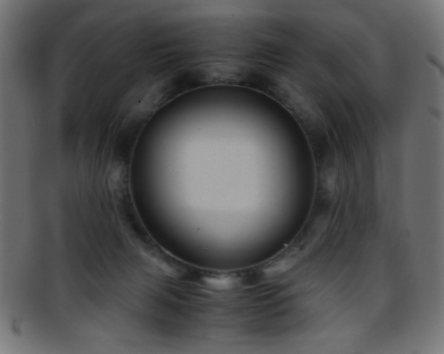 X0000095690079200801081257