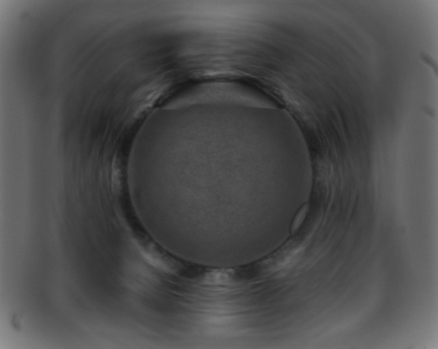 X0000095690080200801081257