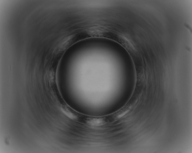 X0000095690081200801081257