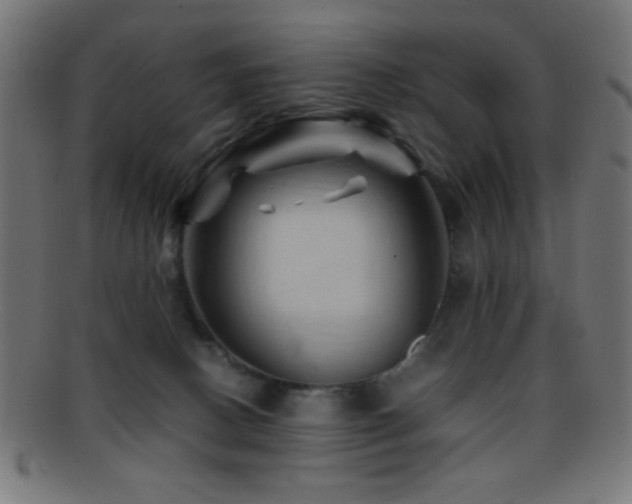 X0000095690082200801081257