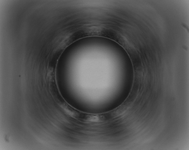 X0000095690083200801081257