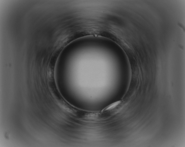 X0000095690084200801081257