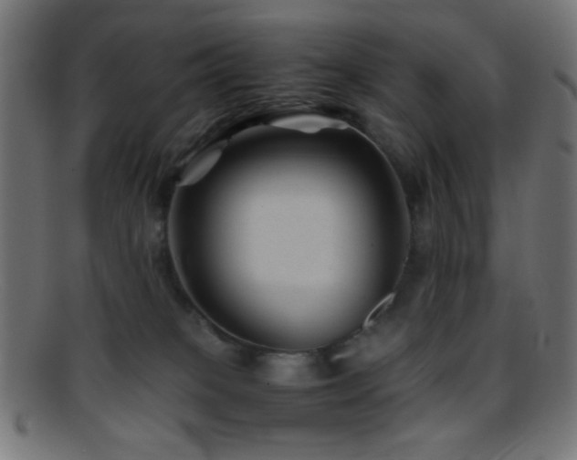 X0000095690085200801081257