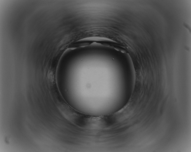 X0000095690086200801081257