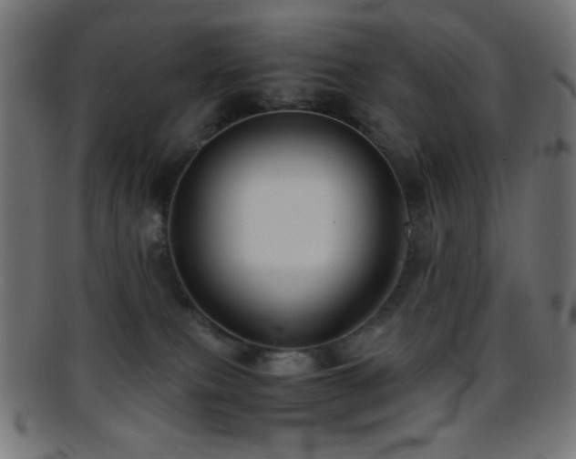 X0000095690087200801081257