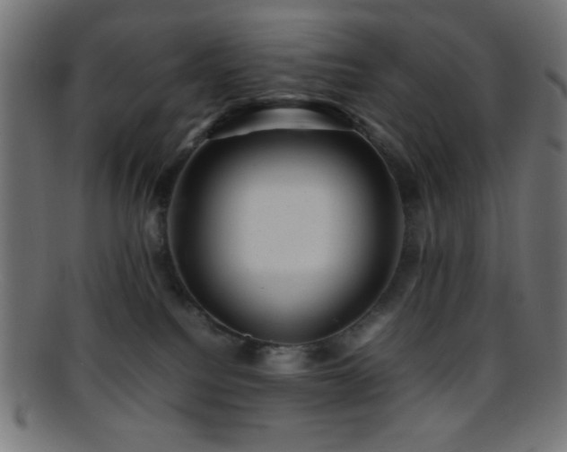 X0000095690088200801081257