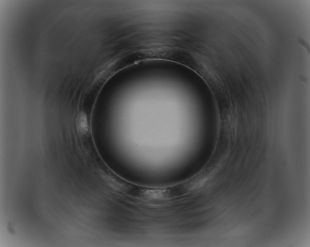 X0000095690089200801081257