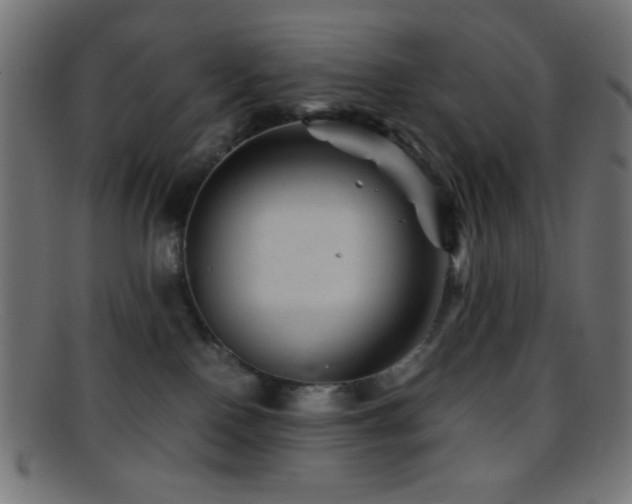 X0000095690090200801081257
