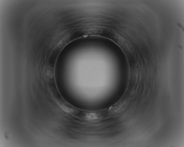 X0000095690091200801081257