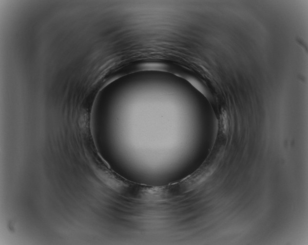 X0000095690092200801081257