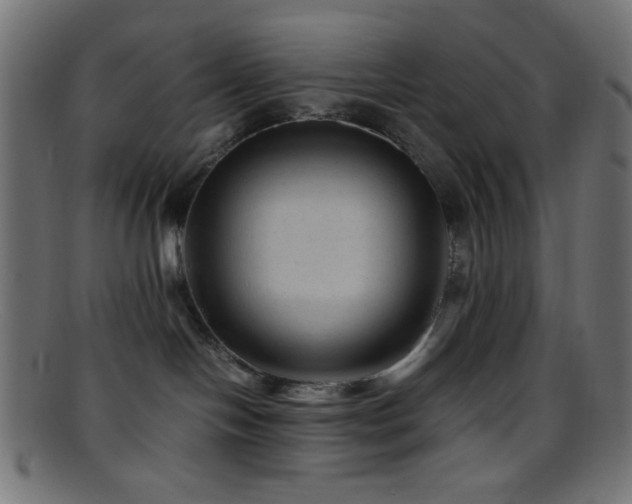 X0000095690094200801081258