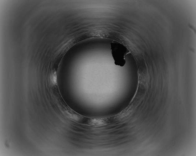 X0000095690095200801081258