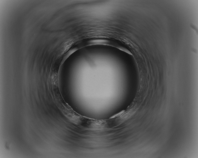 X0000095690096200801081258