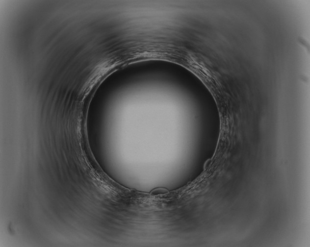 X0000095690098200801081257