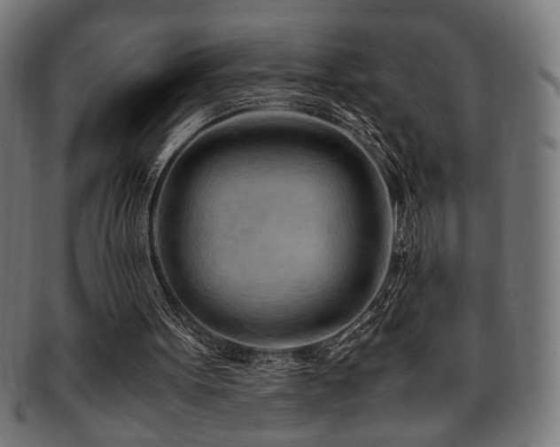 X0000095690099200801081257