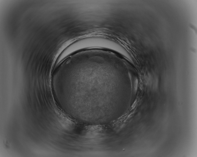X0000095690100200801081257