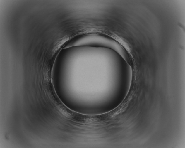 X0000095690105200801081257