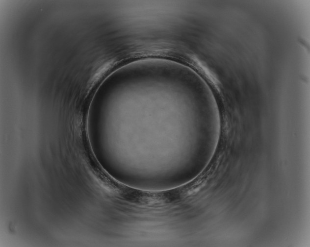 X0000095690107200801081257