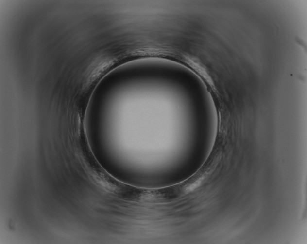 X0000095690109200801081257