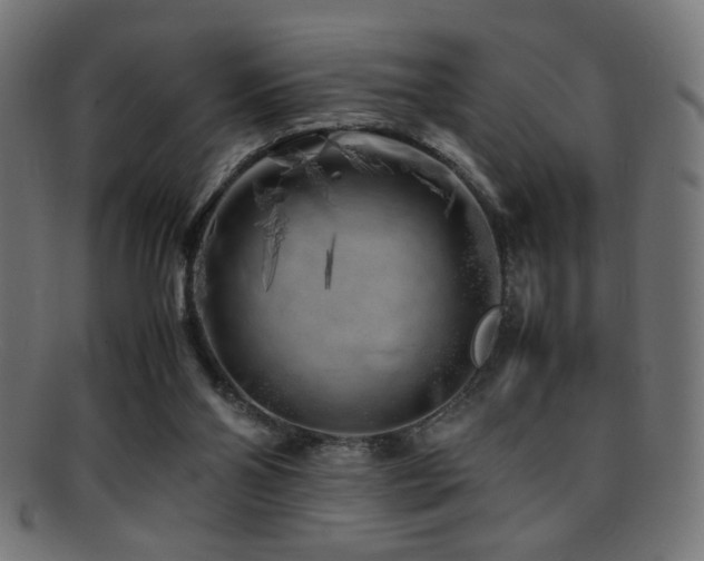 X0000095690110200801081257